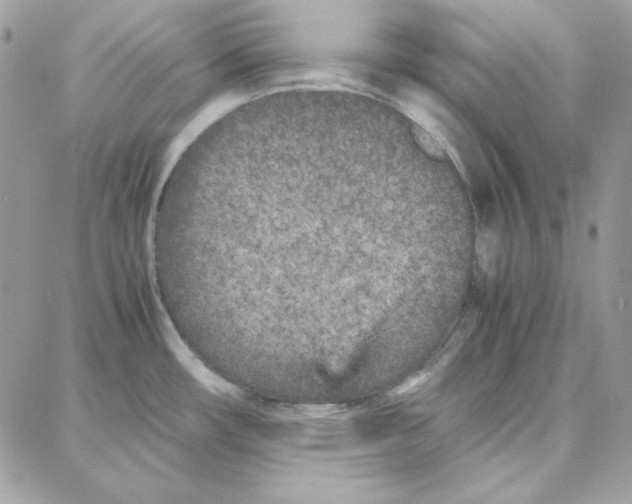 X0000087751482200706041049