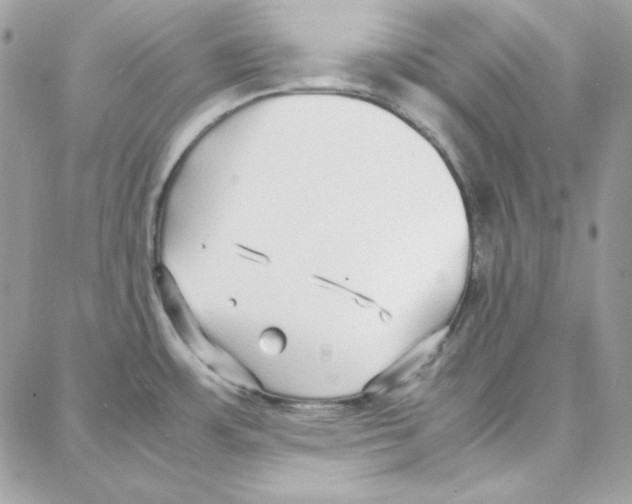 X0000087751483200706041049