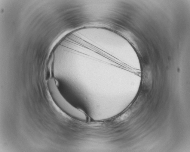 X0000087751484200706041049