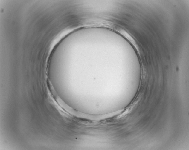 X0000087751485200706041049