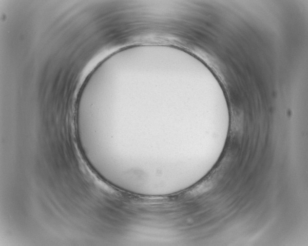 X0000087751486200706041049