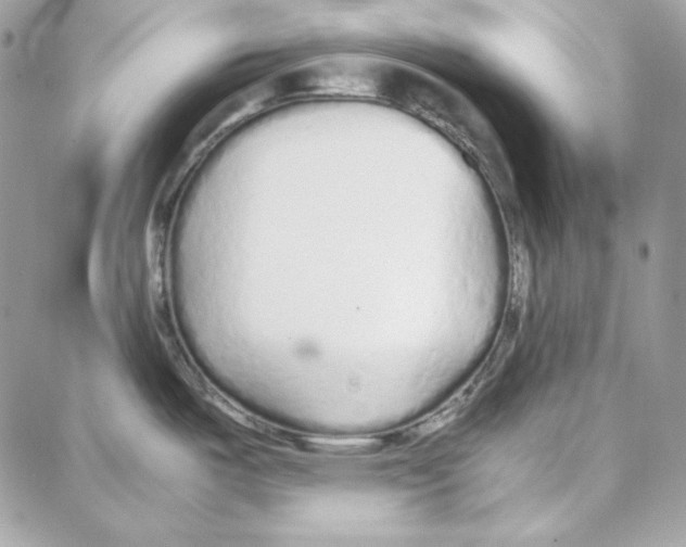 X0000087751487200706041049