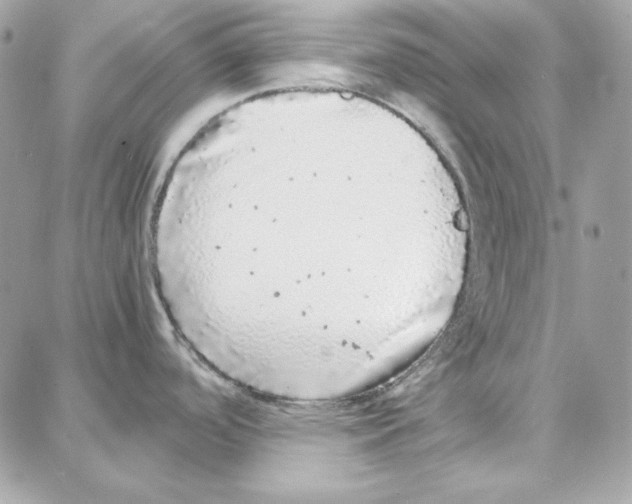 X0000087751488200706041049