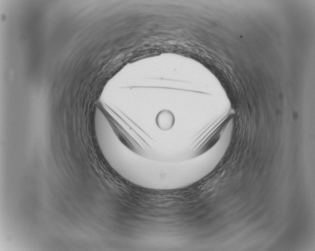 X0000087751489200706041048