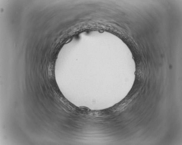 X0000087751490200706041048