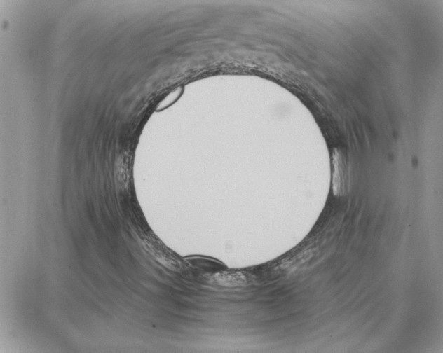 X0000087751491200706041048