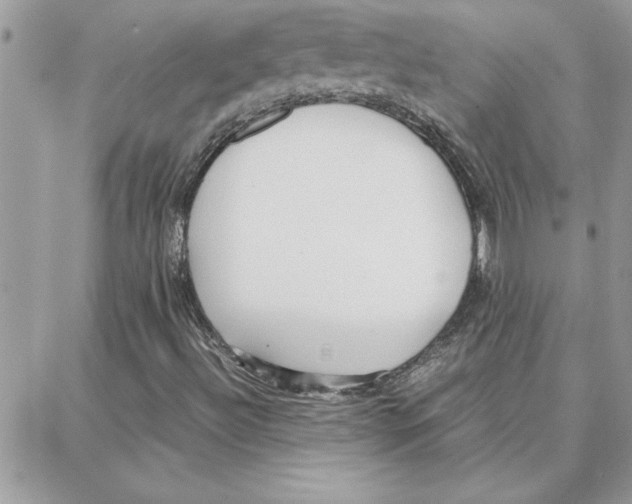 X0000087751492200706041048