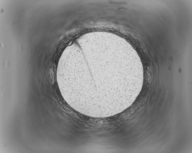 X0000087751493200706041048