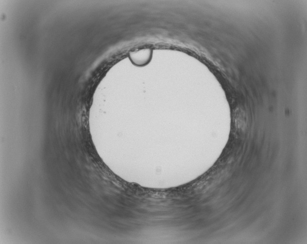 X0000087751495200706041048