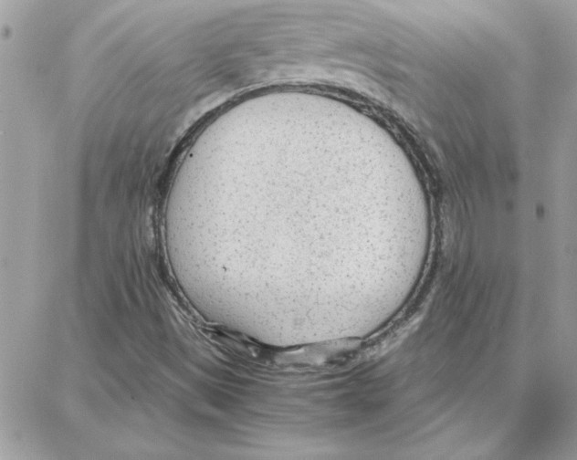 X0000087751497200706041048