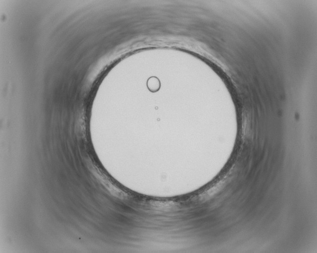 X0000087751498200706041048