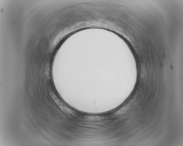 X0000087751499200706041048