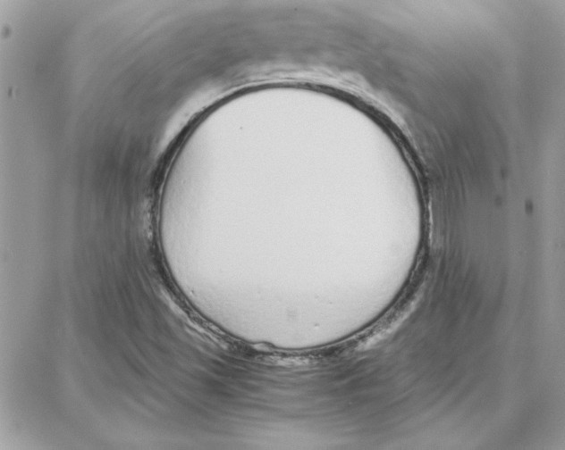 X0000087751501200706041048