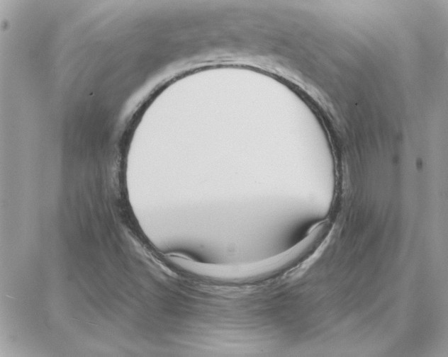 X0000087751502200706041048