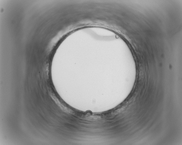 X0000087751503200706041048