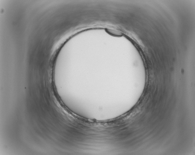 X0000087751504200706041048