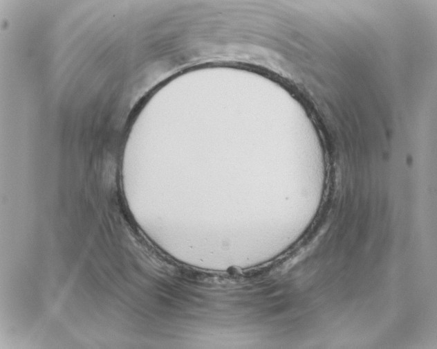 X0000087751505200706041048