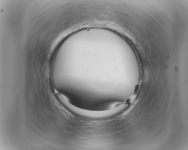 X0000087751506200706041048