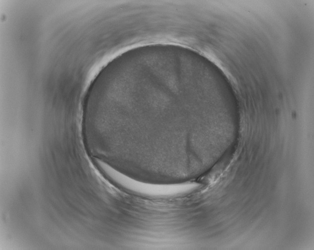 X0000087751508200706041048