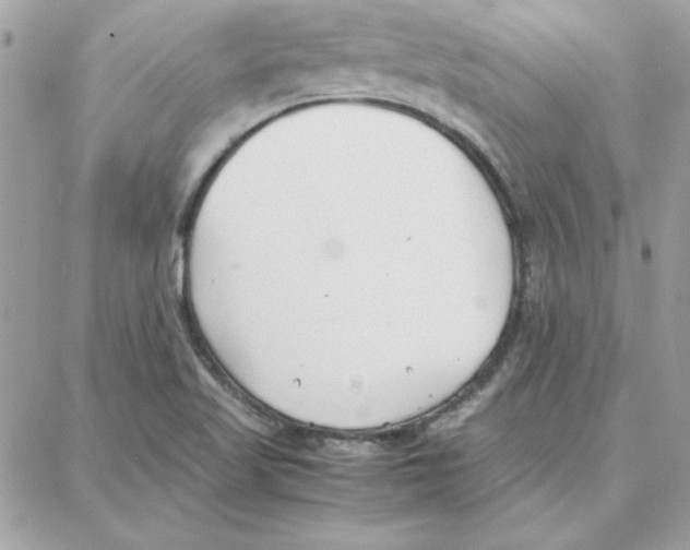 X0000087751509200706041049