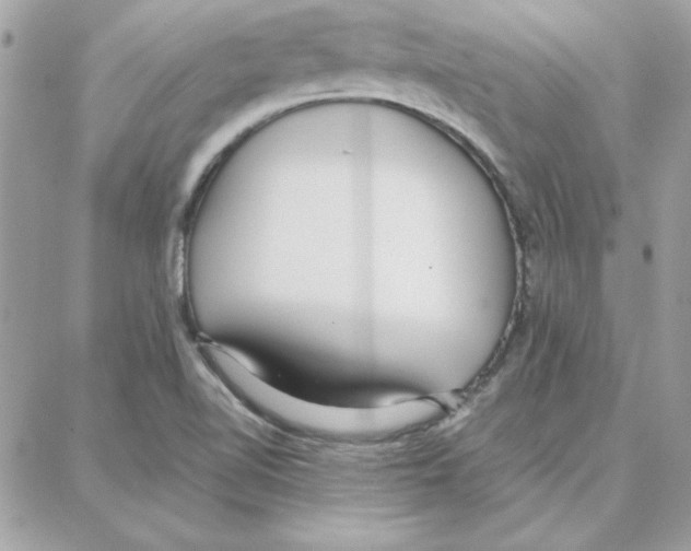 X0000087751510200706041049