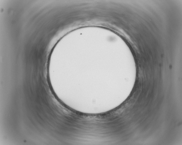 X0000087751512200706041049