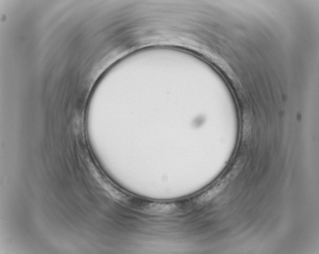 X0000087751513200706041049