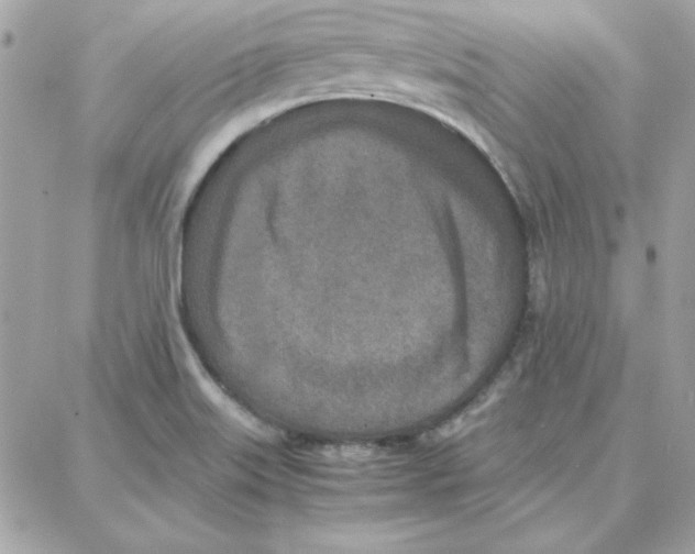 X0000087751515200706041049