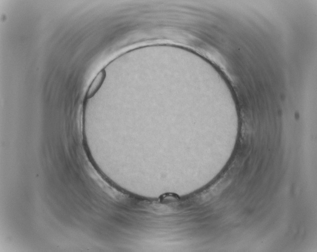 X0000087751516200706041049