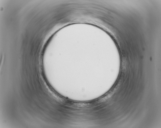 X0000087751517200706041049