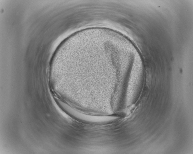 X0000087751519200706041049