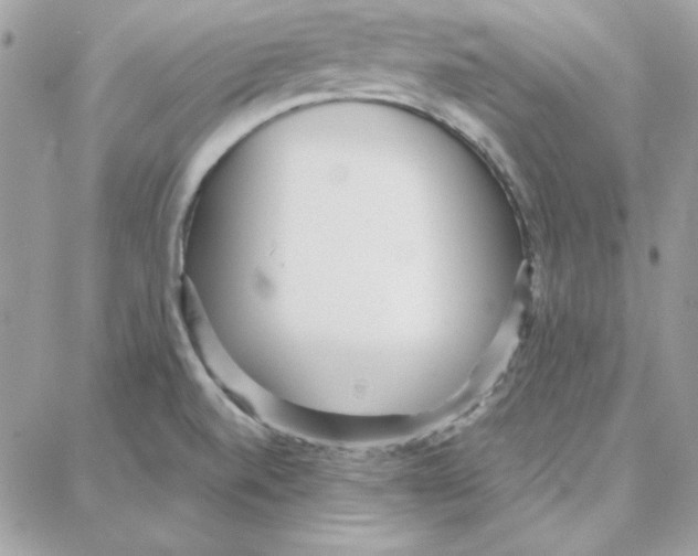 X0000087751520200706041049