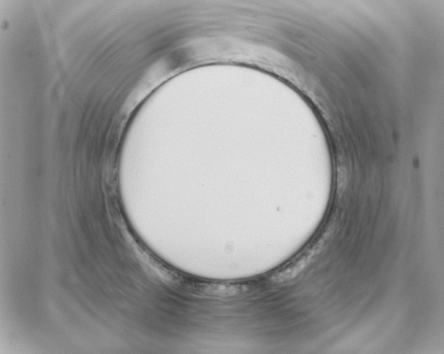 X0000087751521200706041049