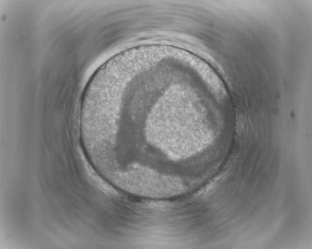 X0000087751522200706041049