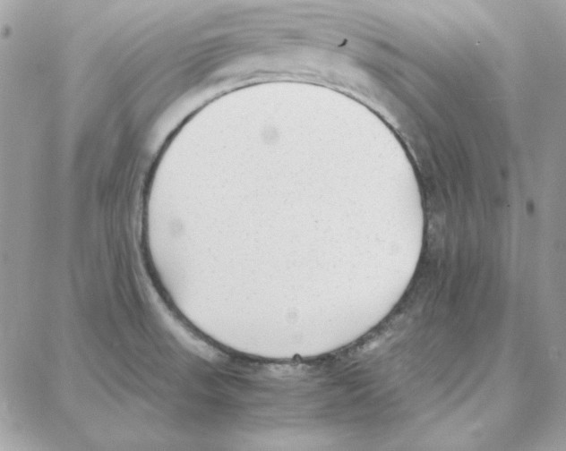 X0000087751523200706041049