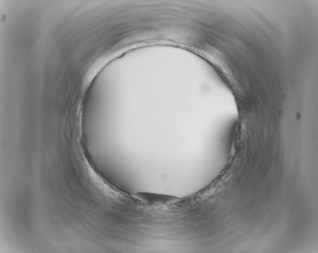 X0000087751524200706041049