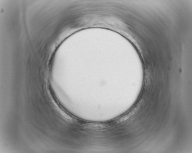 X0000087751525200706041049