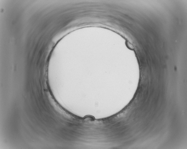 X0000087751526200706041049