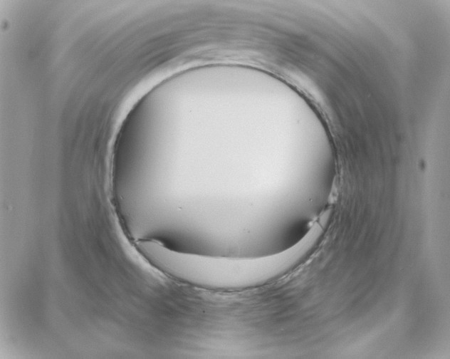 X0000087751528200706041049