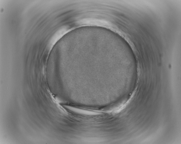 X0000087751529200706041049