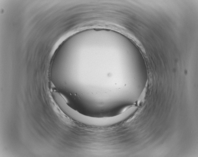 X0000087751530200706041049