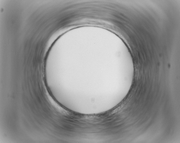 X0000087751531200706041049