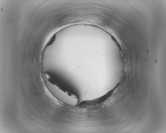 X0000087751532200706041049