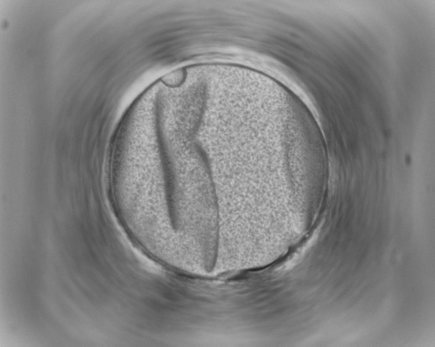 X0000087751533200706041049