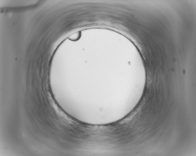 X0000087751534200706041049