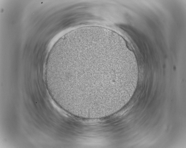 X0000087751535200706041049