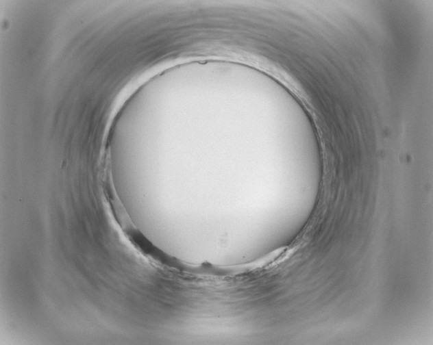 X0000087751536200706041049