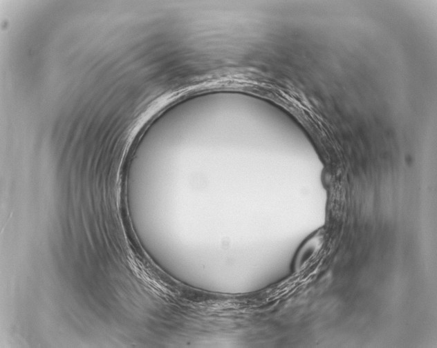 X0000088020100200705110735