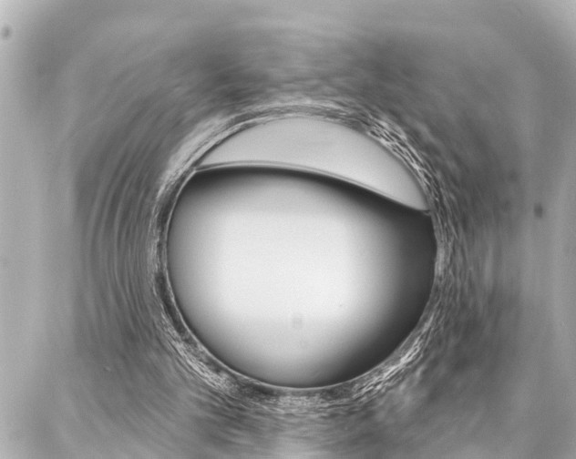 X0000088020101200705110735