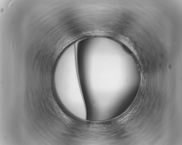 X0000088020109200705110735